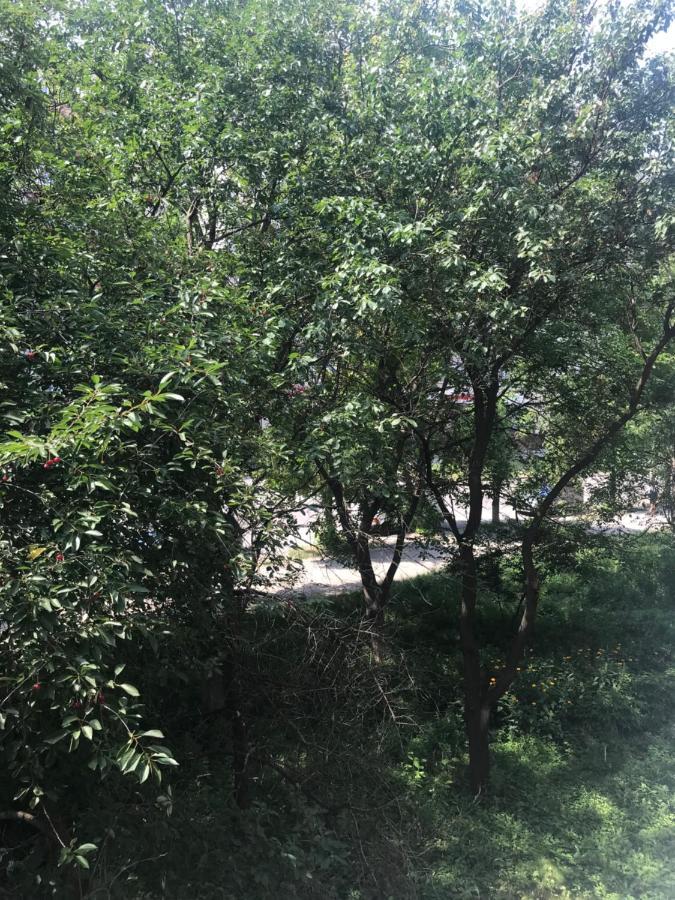 Vasylia Stusa 3 Cityrooms Bila Tserkva Exterior foto